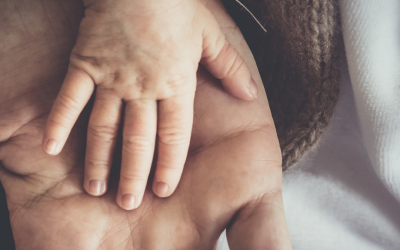 Understanding Paternity, Custody, and Child Support in Alabama: A Guide for Unmarried Fathers